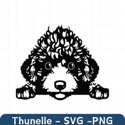 poodle svg, poodle clipart, poodle svg cut files for cricut, poodle head svg, poodle silhouette svg