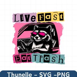 Live Fast Eat Trash unny Trash Panda SVG