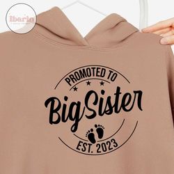 promoted to big sister svg png, baby announcement svg, big sister est 2023 svg, established svg, big sister est 2023 svg