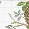 Brown bird in a nest cross stitch pattern pdf.jpg
