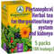 Phytonephrol Herbal tea for the health of the genitourinary system and kidneys 5 packs x 20 filter bags
