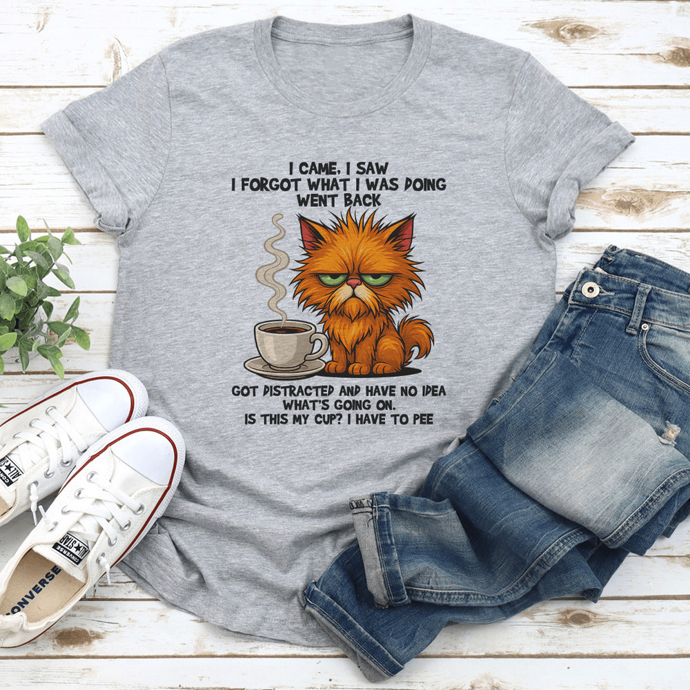 I Came I Saw I Forgot What I Was Doing Went Back Got Distracted Tee 2