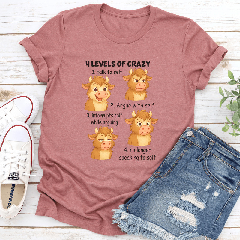 4 Levels Of Crazy 1 Talk To Self Tee 3