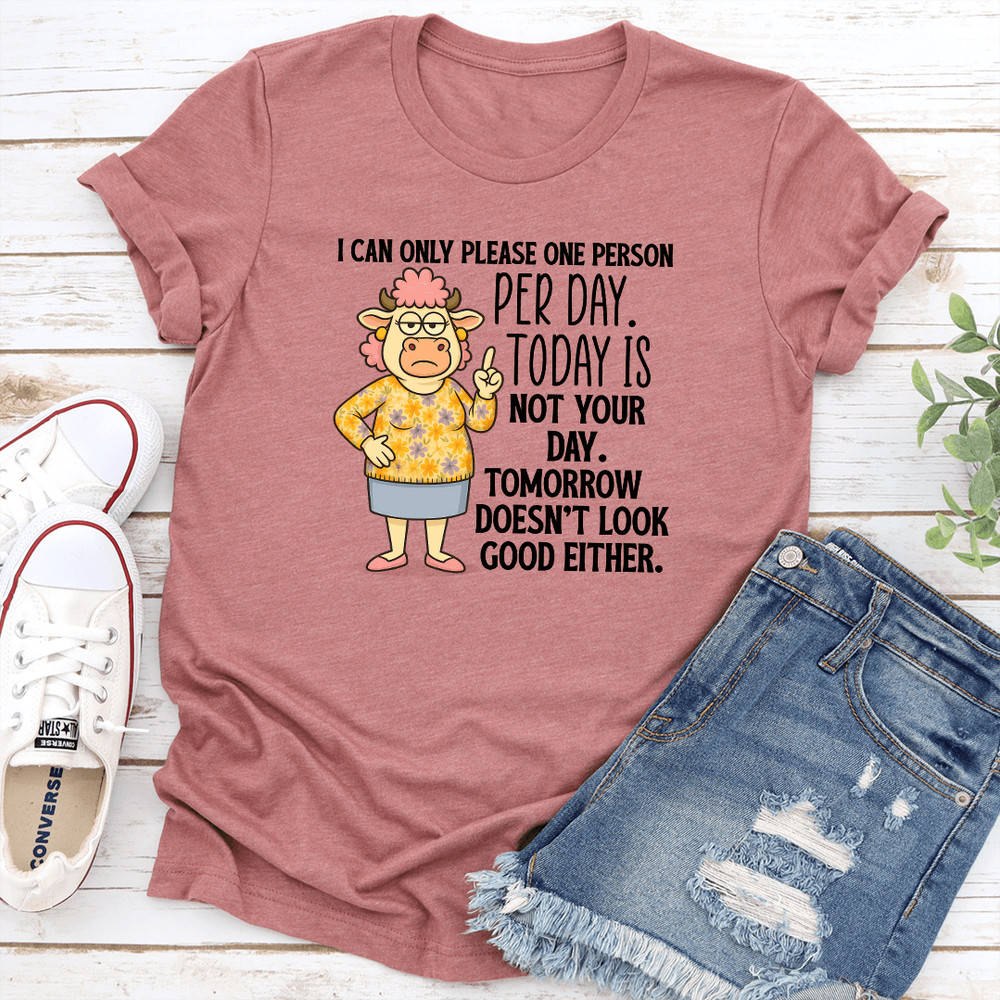 I Can Only Please One Person Per Day Tee 0