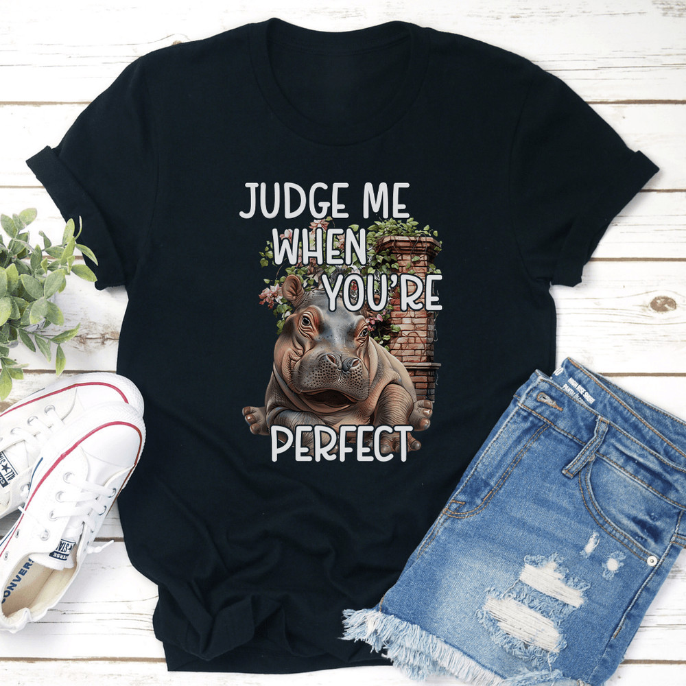 Judge Me When Youre Perfect Tee 2