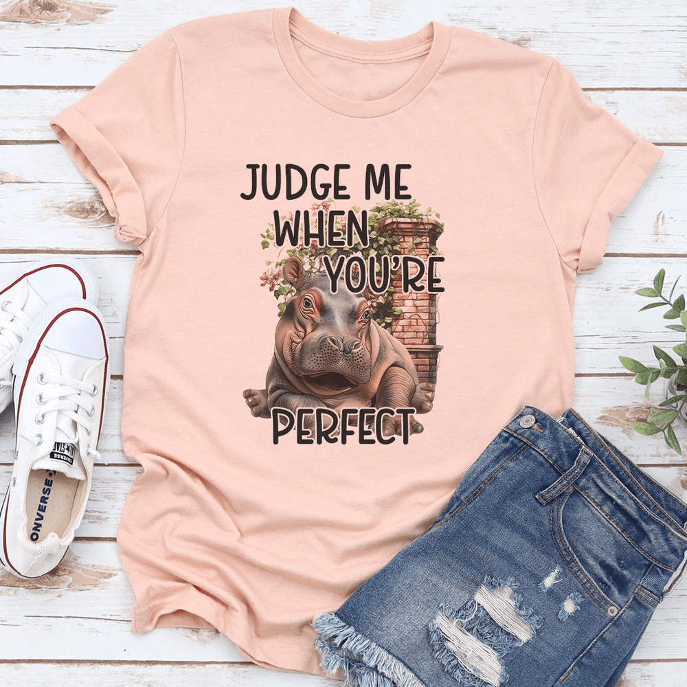 Judge Me When Youre Perfect Tee 3