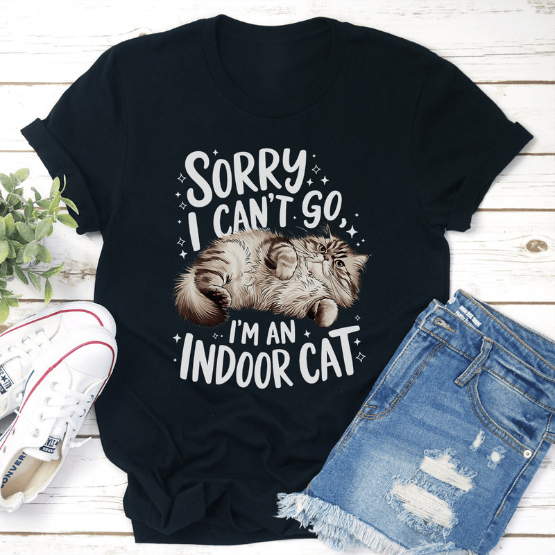 Sorry I Cant Go Im An Indoor Cat Tee 0