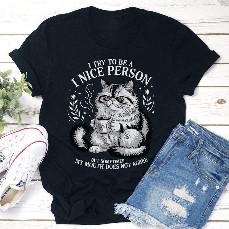 I Try To Be A I Nice Person Tee 1