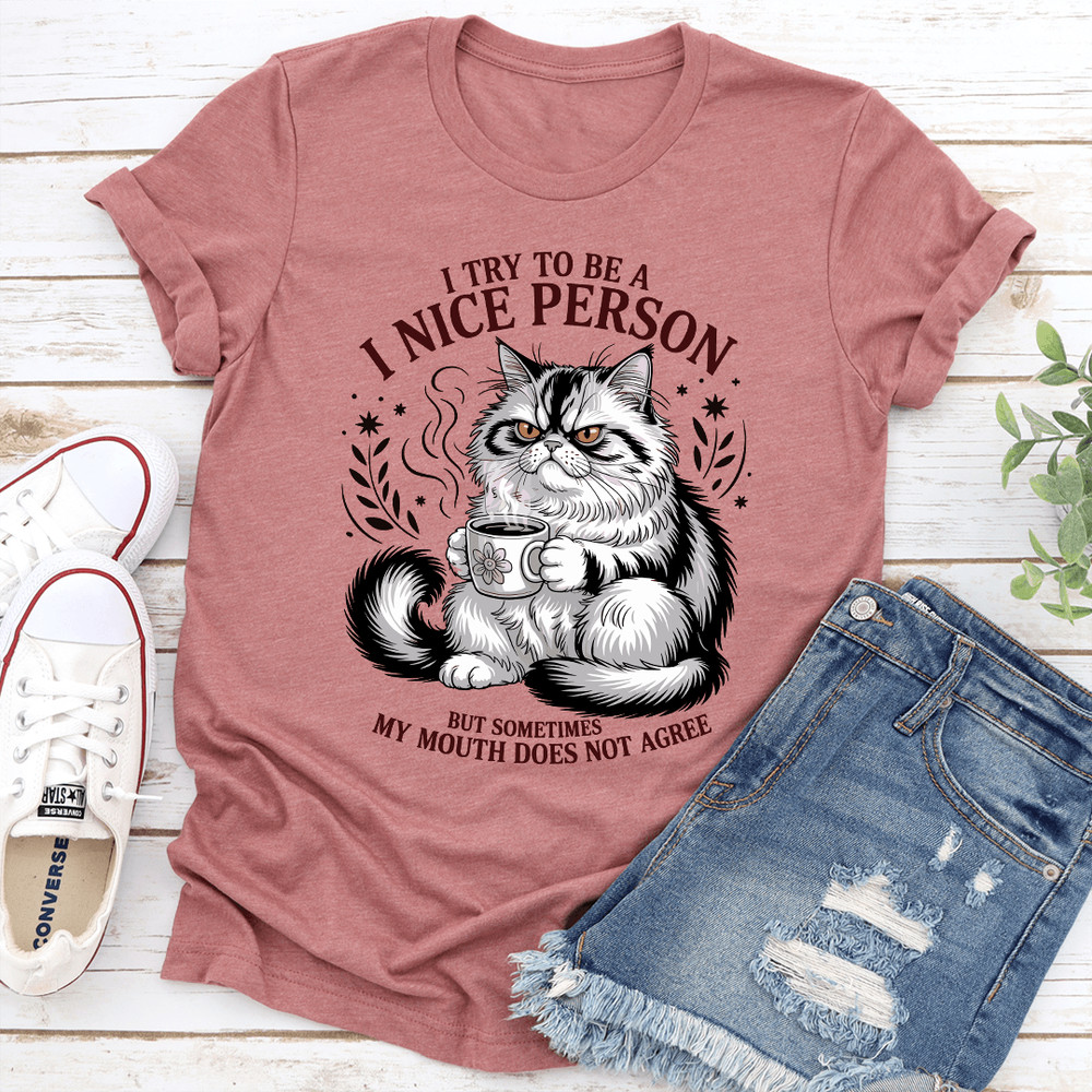 I Try To Be A I Nice Person Tee 2