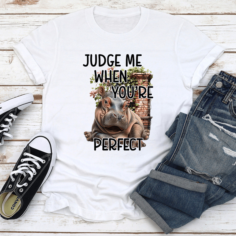 Judge Me When Youre Perfect Tee 2