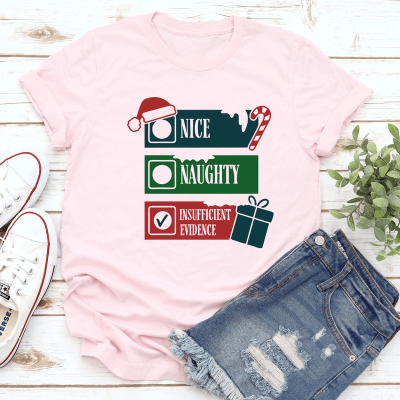 Nice Naughty Insufficient Evidence Tee 2