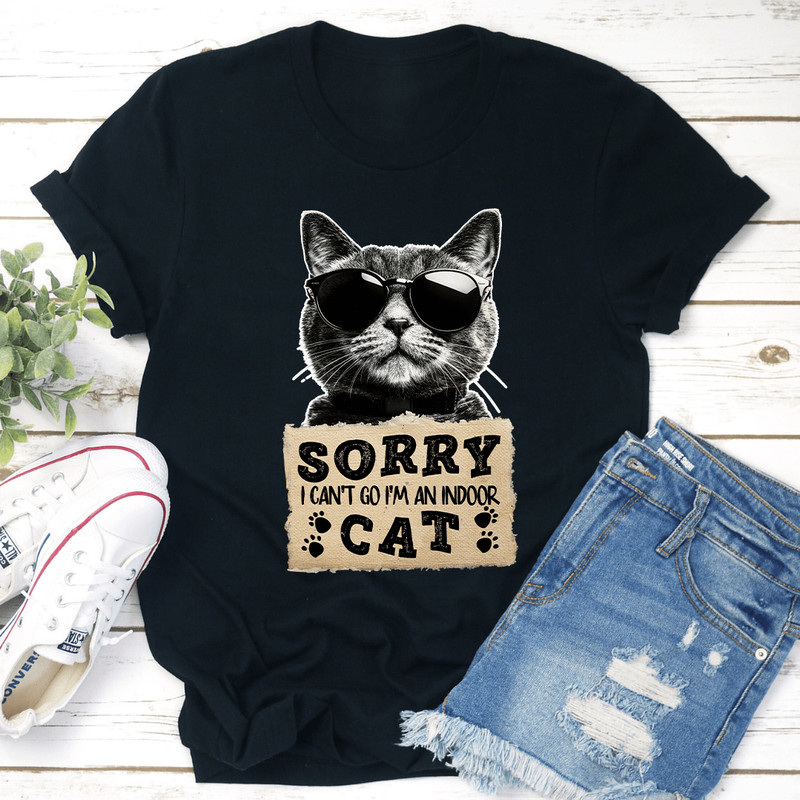 Sorry I Cant Go Im An Indoor Cat Tee 3