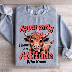 apparently i have an attitude sweatshirt