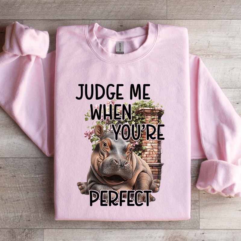 Judge Me When Youre Perfect Sweatshirt 0