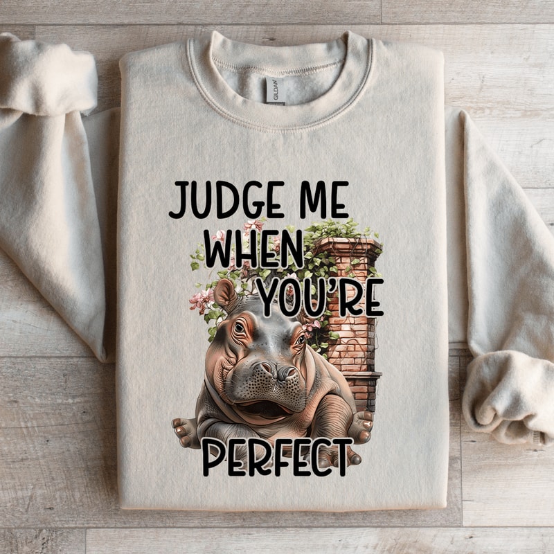 Judge Me When Youre Perfect Sweatshirt 2
