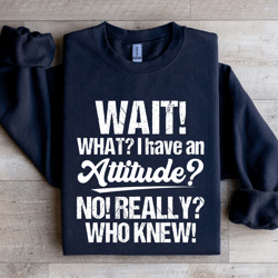 wait what i have an attitude no really who knew sweatshirt