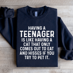 having a teenager is like having sweatshirt