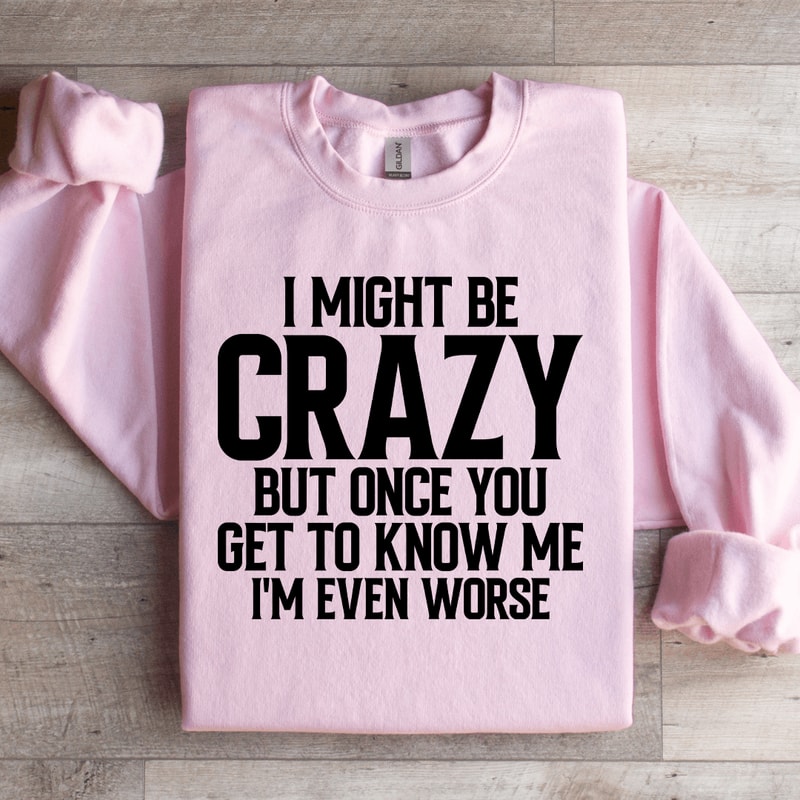 I Might Be Crazy Sweatshirt 2
