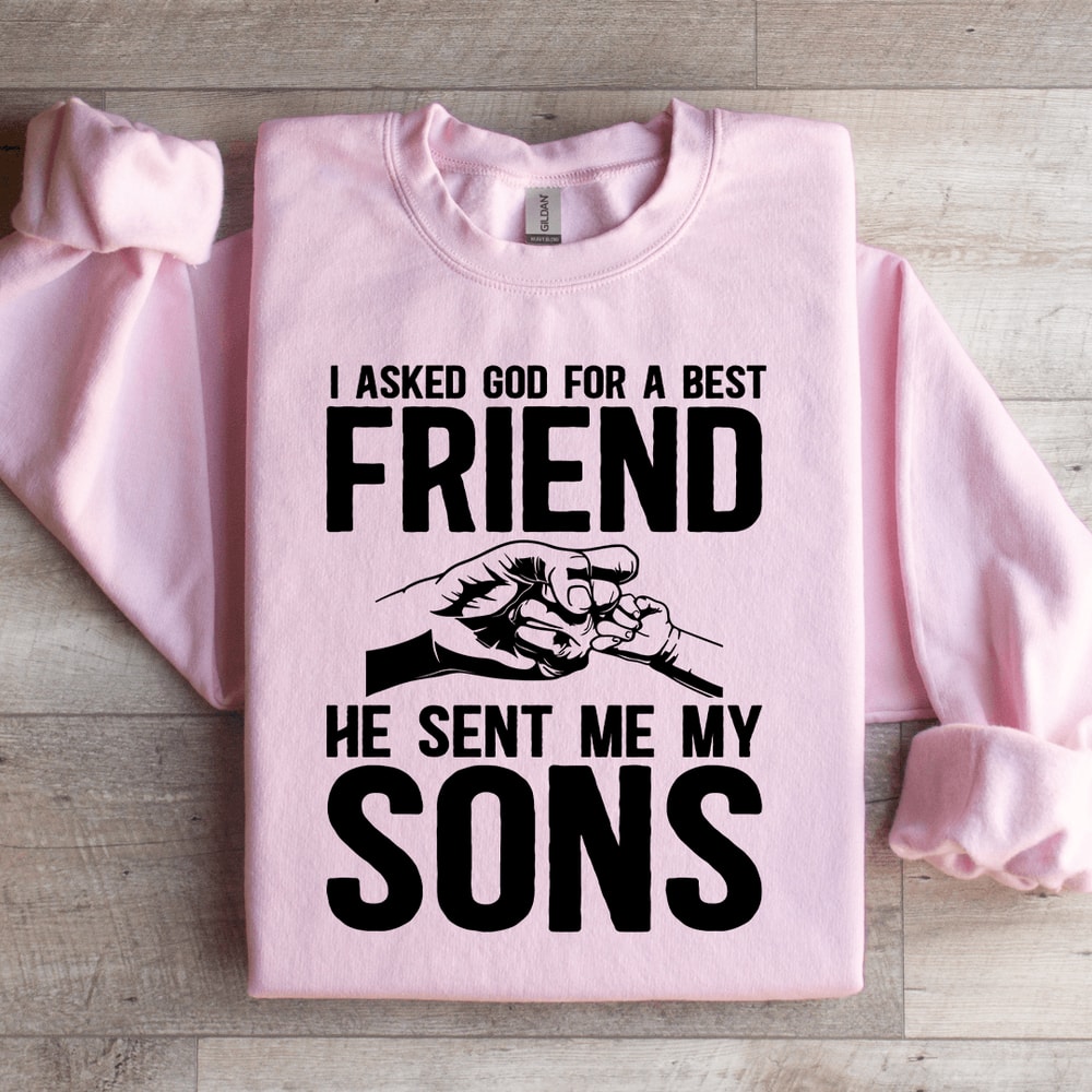 I Asked God For A Best Friend Sweatshirt 2