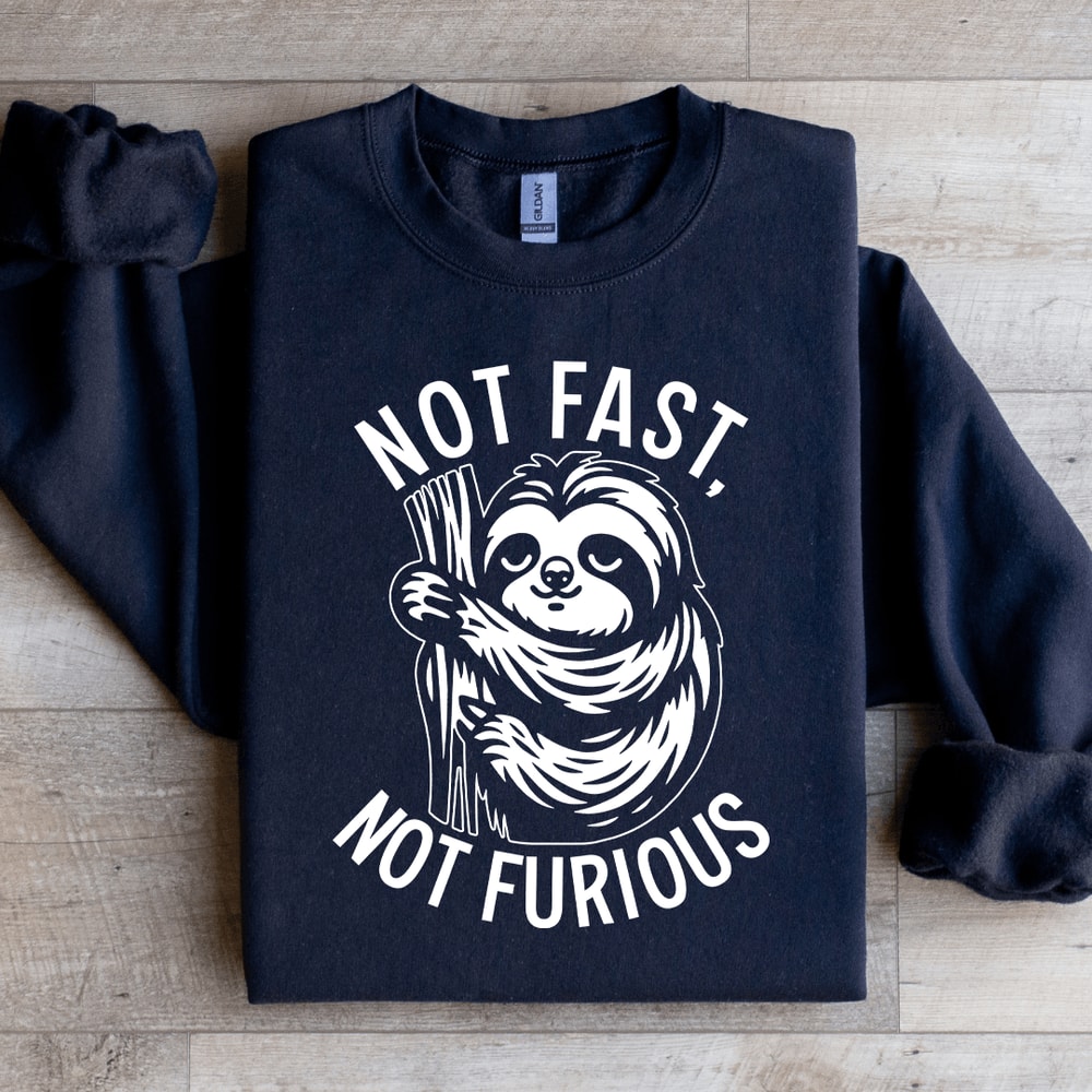 Not Fast Not Furious Sweatshirt 1