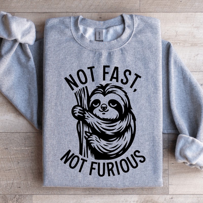 Not Fast Not Furious Sweatshirt 2