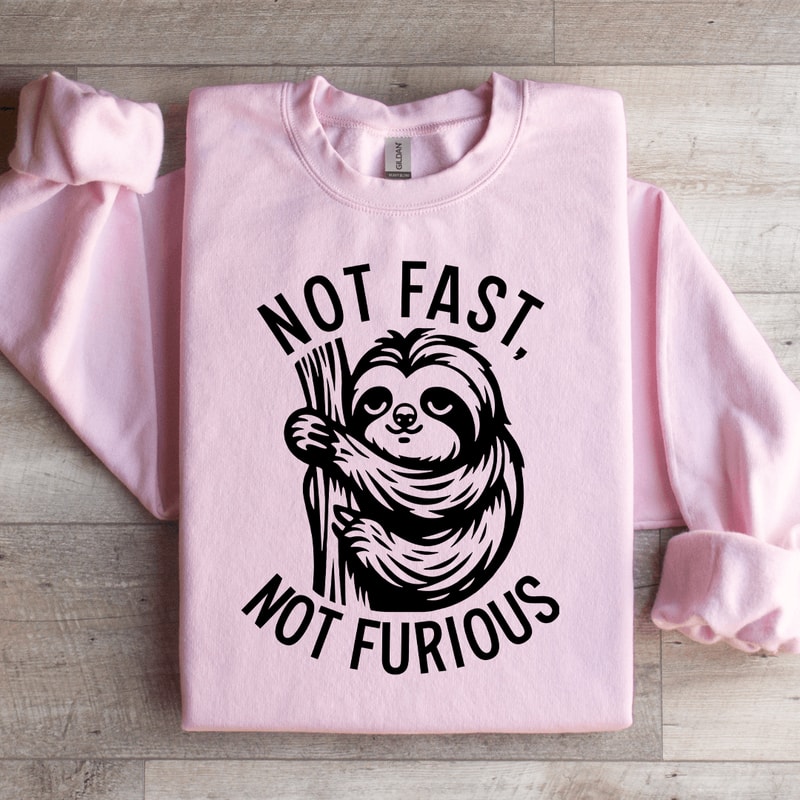 Not Fast Not Furious Sweatshirt 0