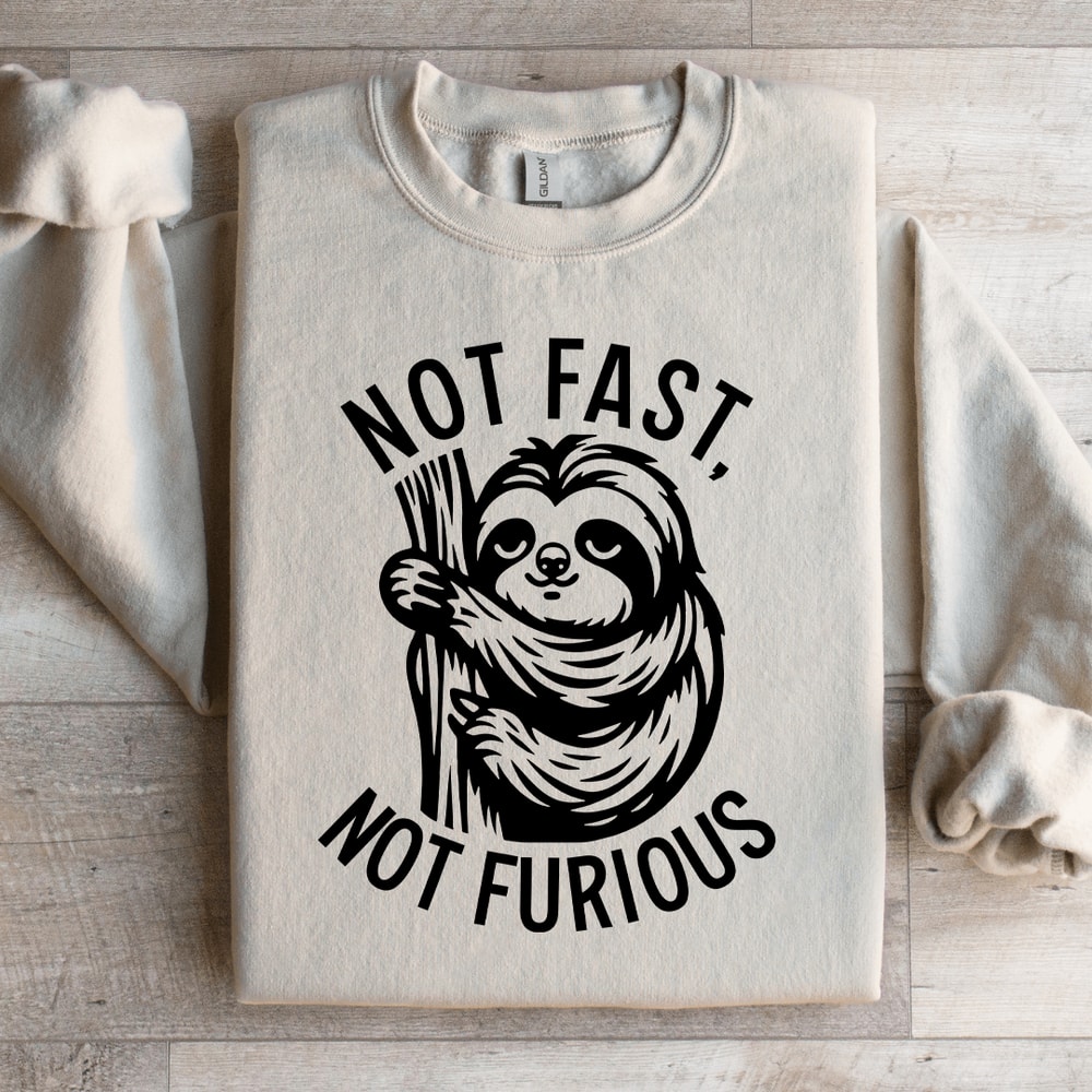 Not Fast Not Furious Sweatshirt 3