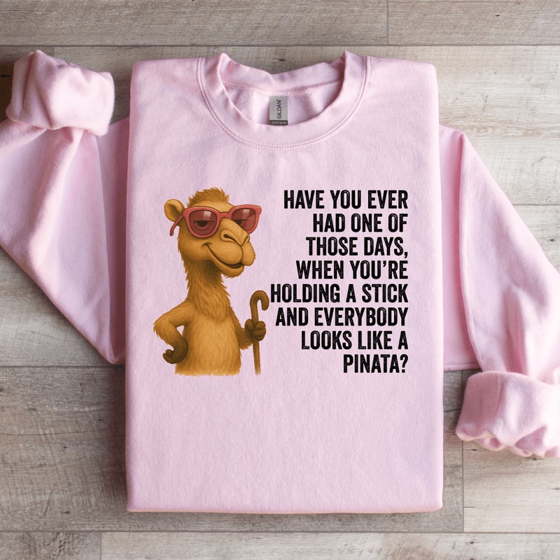 Have You Ever Had One Of Those Days Sweatshirt 0