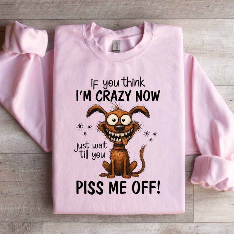If You Think Im Crazy Now Sweatshirt 0