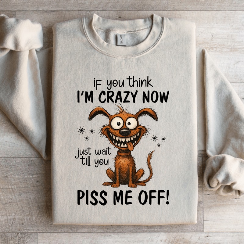 If You Think Im Crazy Now Sweatshirt 3