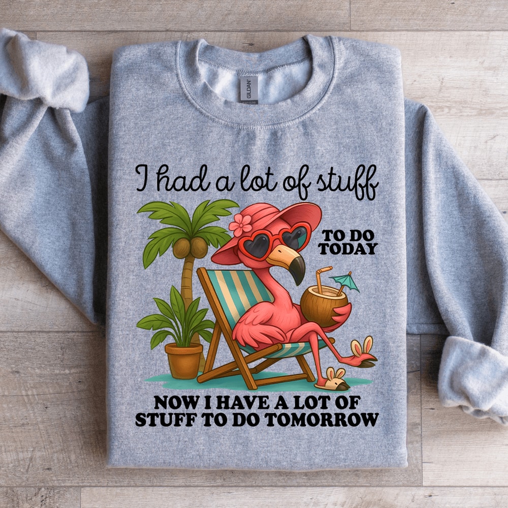 I Had A Lot Of Stuff To Do Today Sweatshirt 1
