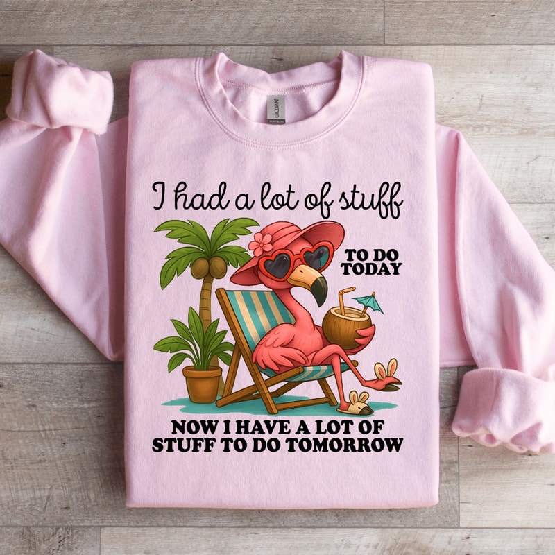I Had A Lot Of Stuff To Do Today Sweatshirt 2