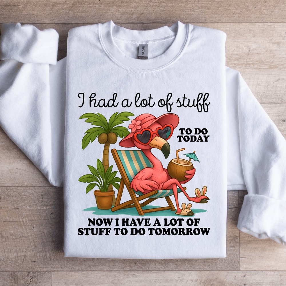 I Had A Lot Of Stuff To Do Today Sweatshirt 0