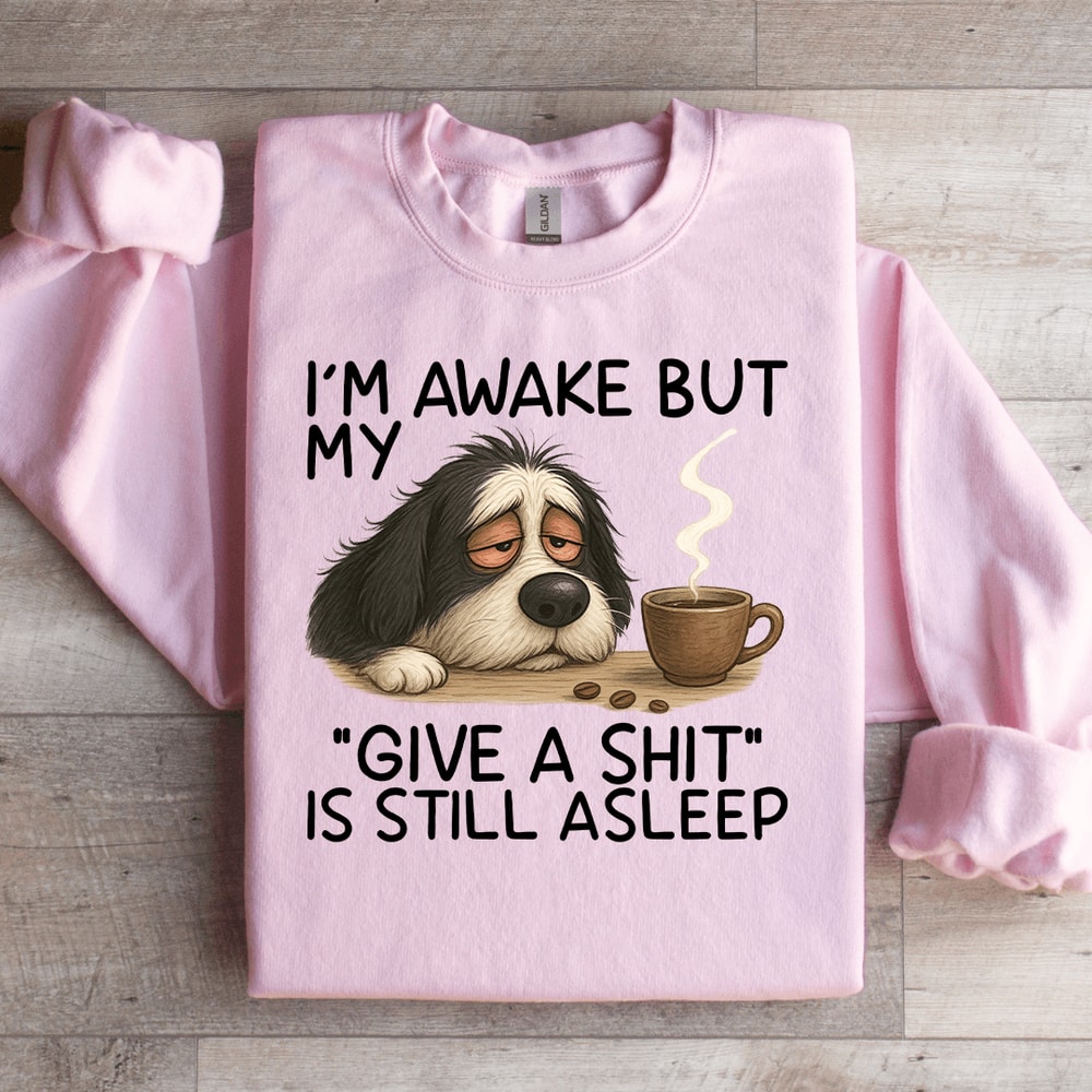 Im Awake But My Give A Sit Sweatshirt 0