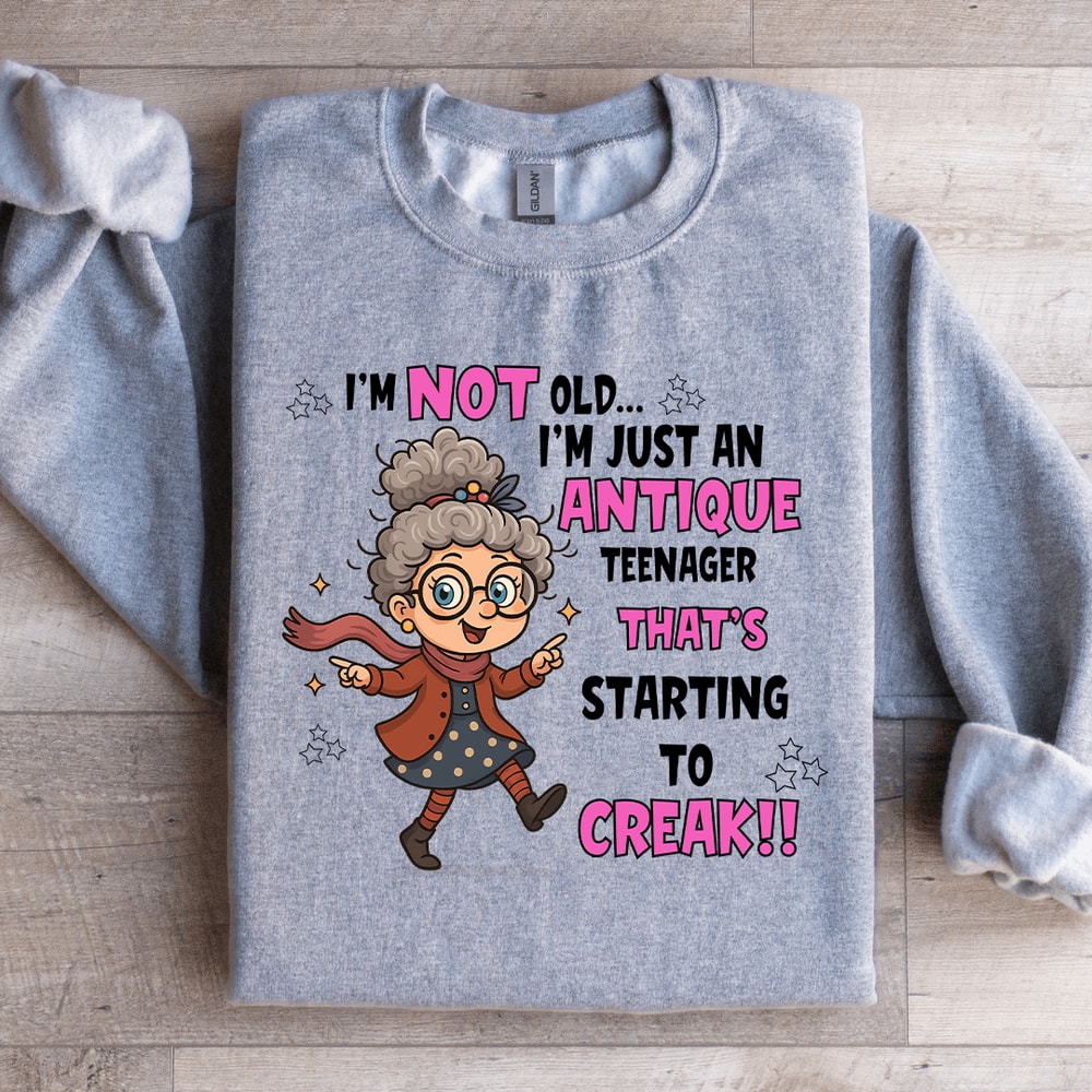 Im Not Old Im Just An Antique Teenager Sweatshirt 0
