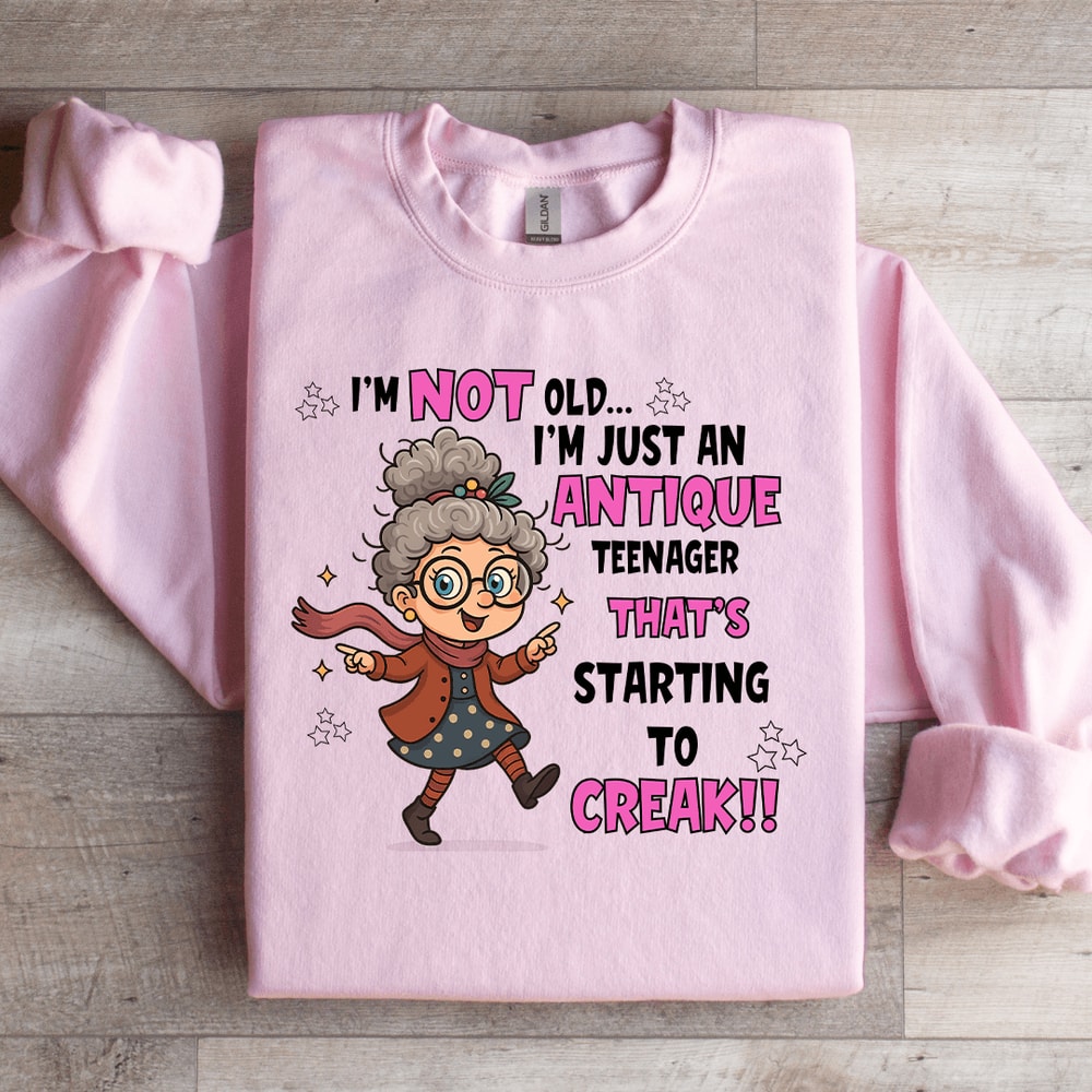 Im Not Old Im Just An Antique Teenager Sweatshirt 1