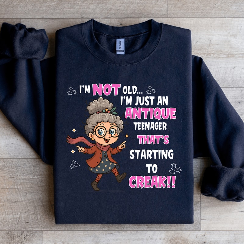 Im Not Old Im Just An Antique Teenager Sweatshirt 4