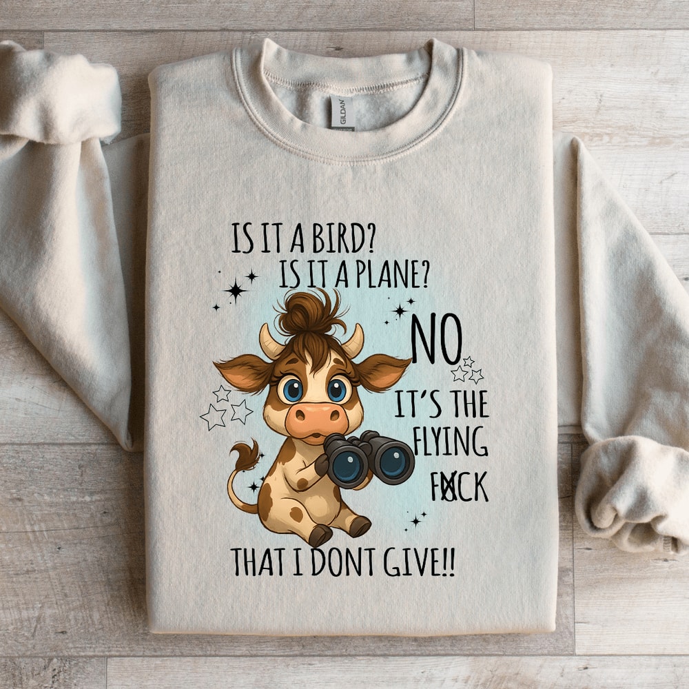 Is It A Bird Is It A Plane Sweatshirt 1
