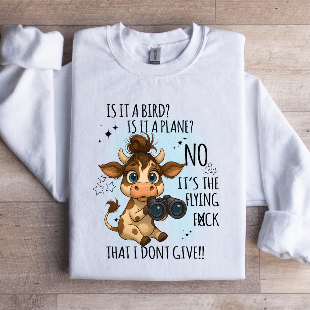 Is It A Bird Is It A Plane Sweatshirt 2