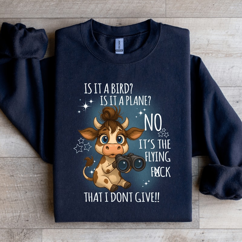 Is It A Bird Is It A Plane Sweatshirt 0