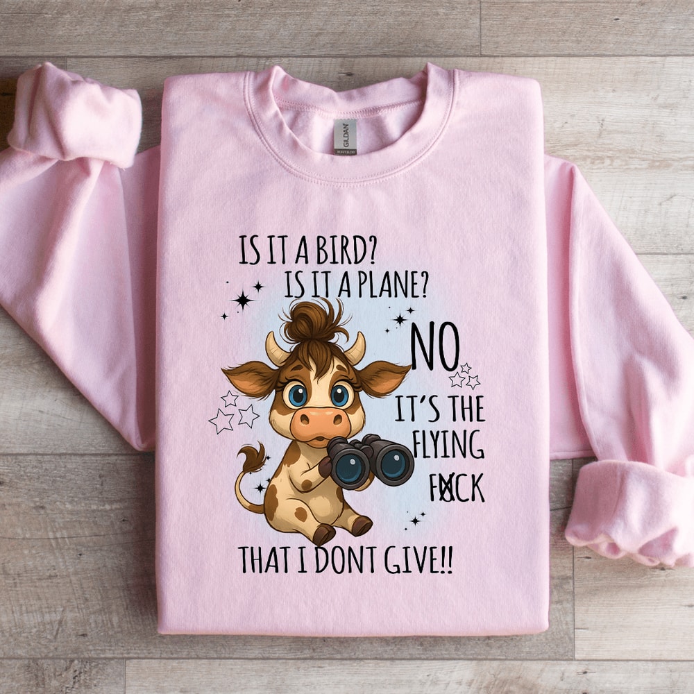 Is It A Bird Is It A Plane Sweatshirt 4