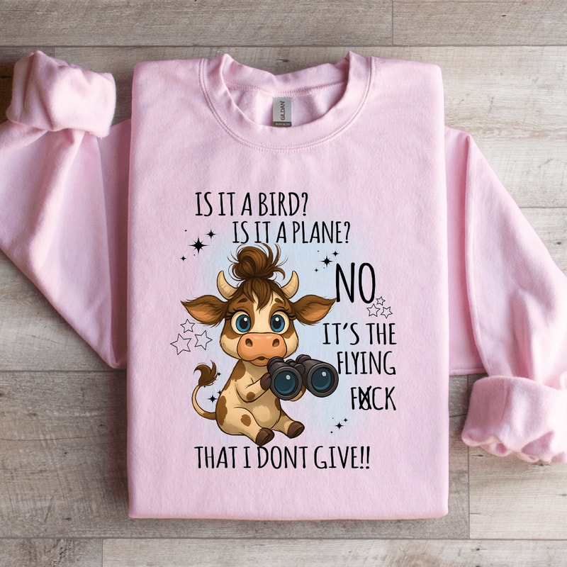 Is It A Bird Is It A Plane Sweatshirt 4