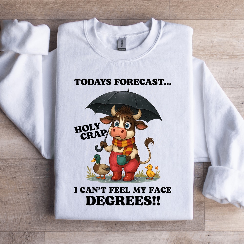 Todays Forecast Holy Crap Sweatshirt 1