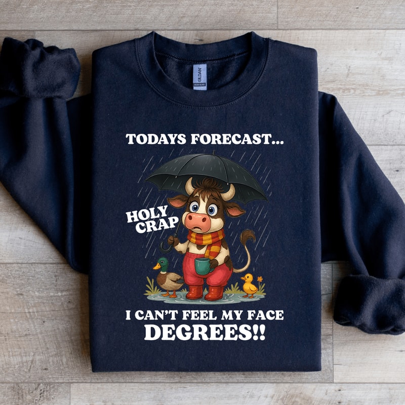 Todays Forecast Holy Crap Sweatshirt 2