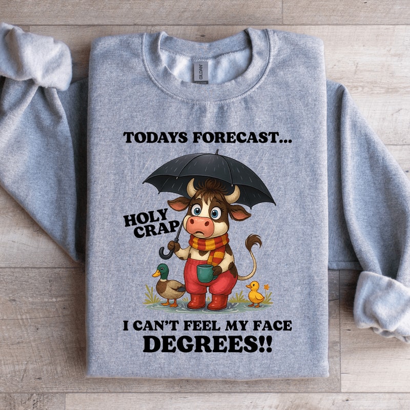 Todays Forecast Holy Crap Sweatshirt 3