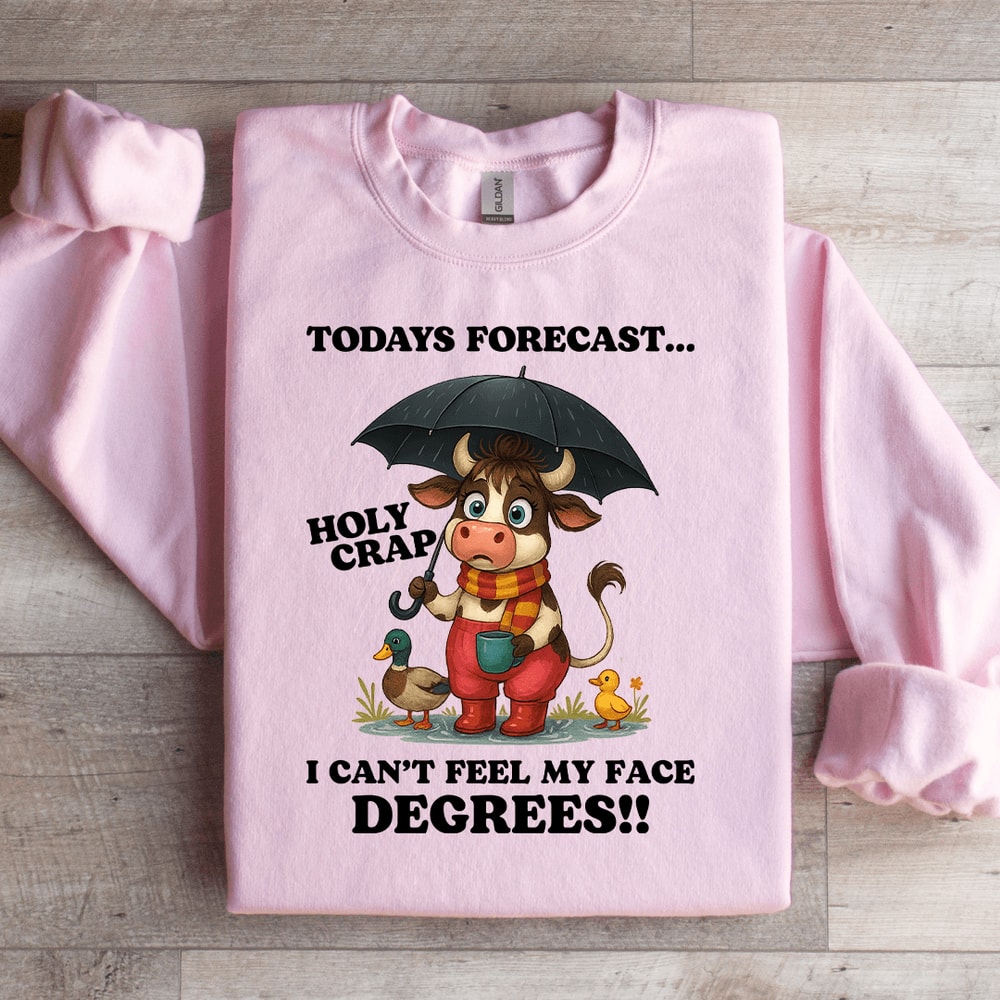 Todays Forecast Holy Crap Sweatshirt 0