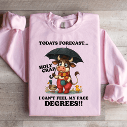 todays forecast holy crap sweatshirt