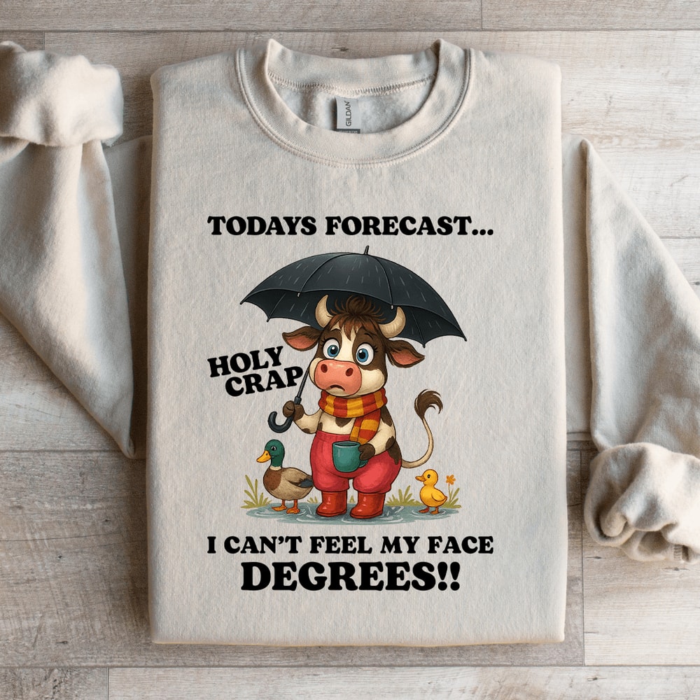 Todays Forecast Holy Crap Sweatshirt 4
