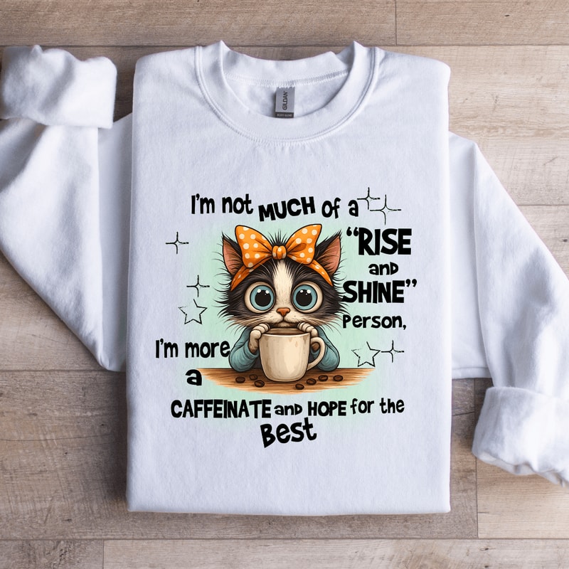 Im Not Much Of A Rise And Shine Person Sweatshirt 2