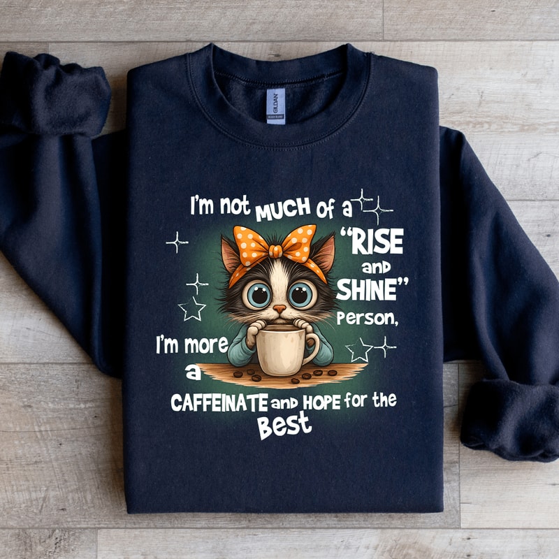 Im Not Much Of A Rise And Shine Person Sweatshirt 3